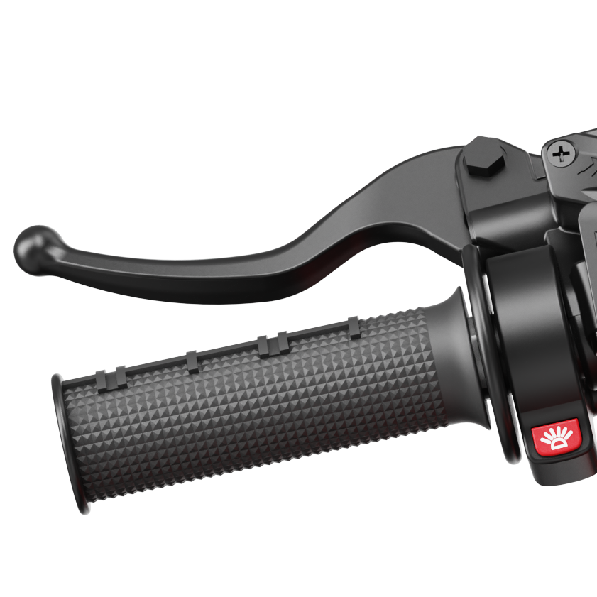 IN 10 Left & Right Brake Levers